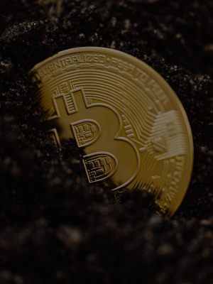 Web3 Integration & Consulting